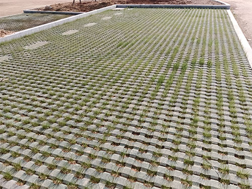 常德透水磚項目